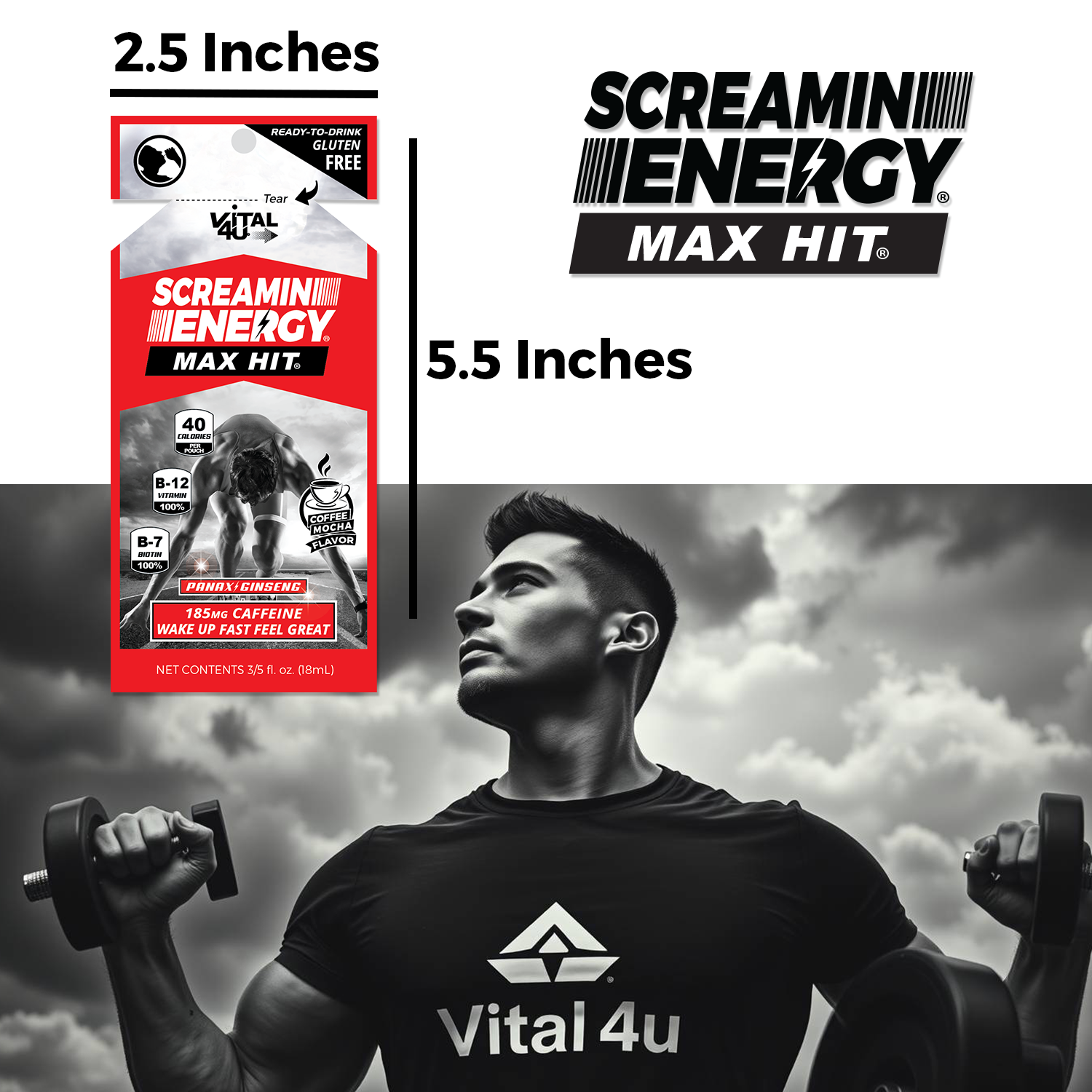 VitalRewards - SE Max Hit 12 Pack